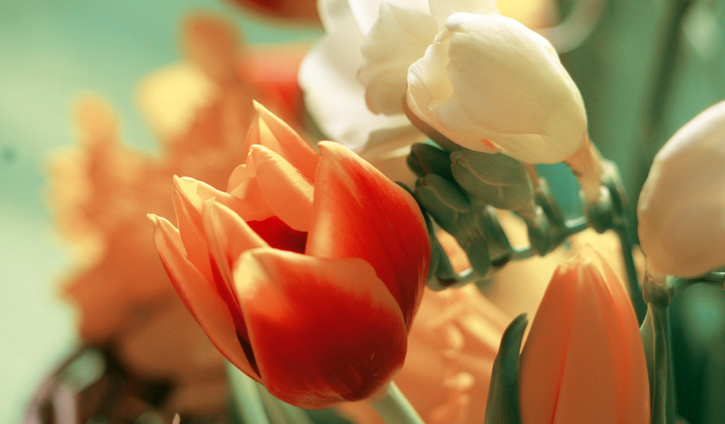 Восхитительные цветы