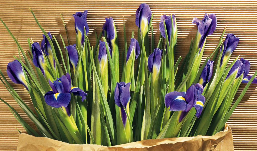 Цветы в подарок