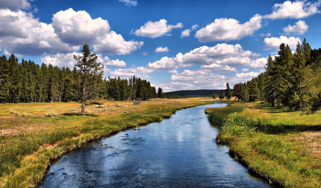 Река возле леса