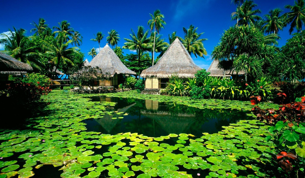 Рай на острове