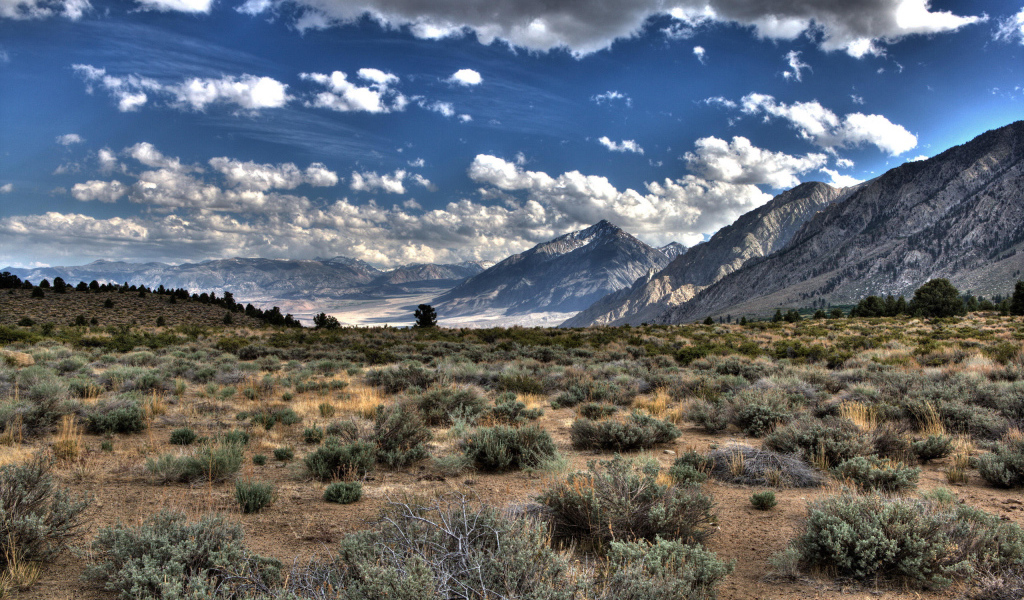 Пустынная долина