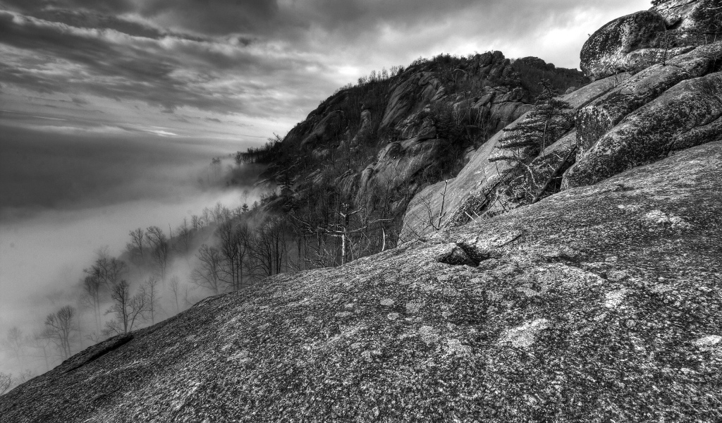 Туман в горах