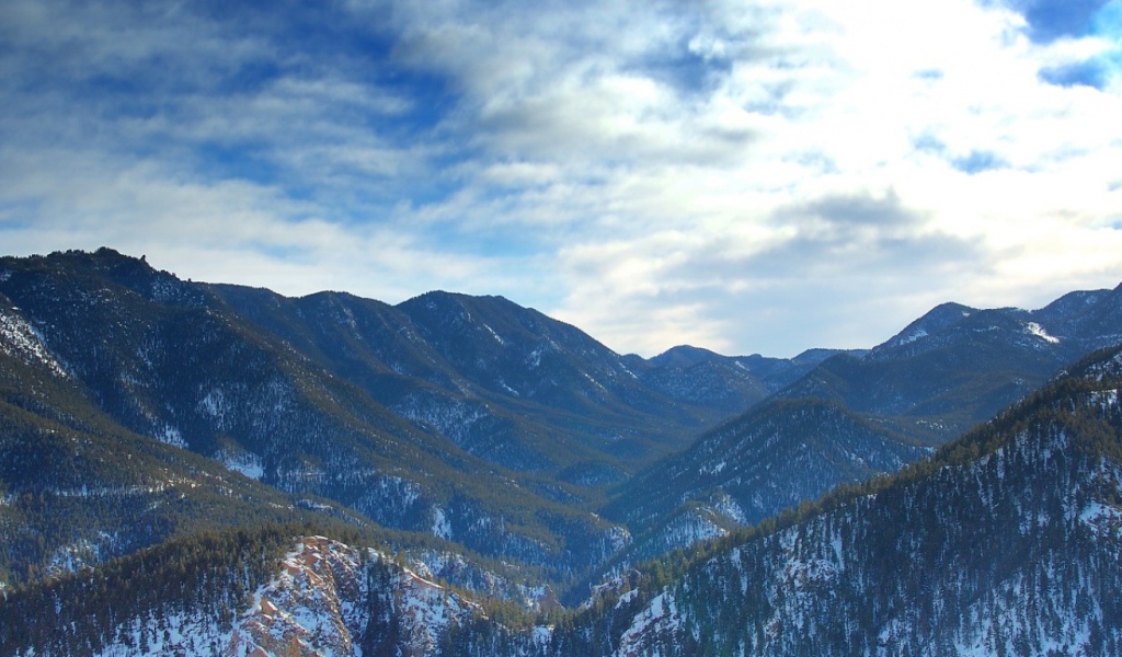 Лес в горах