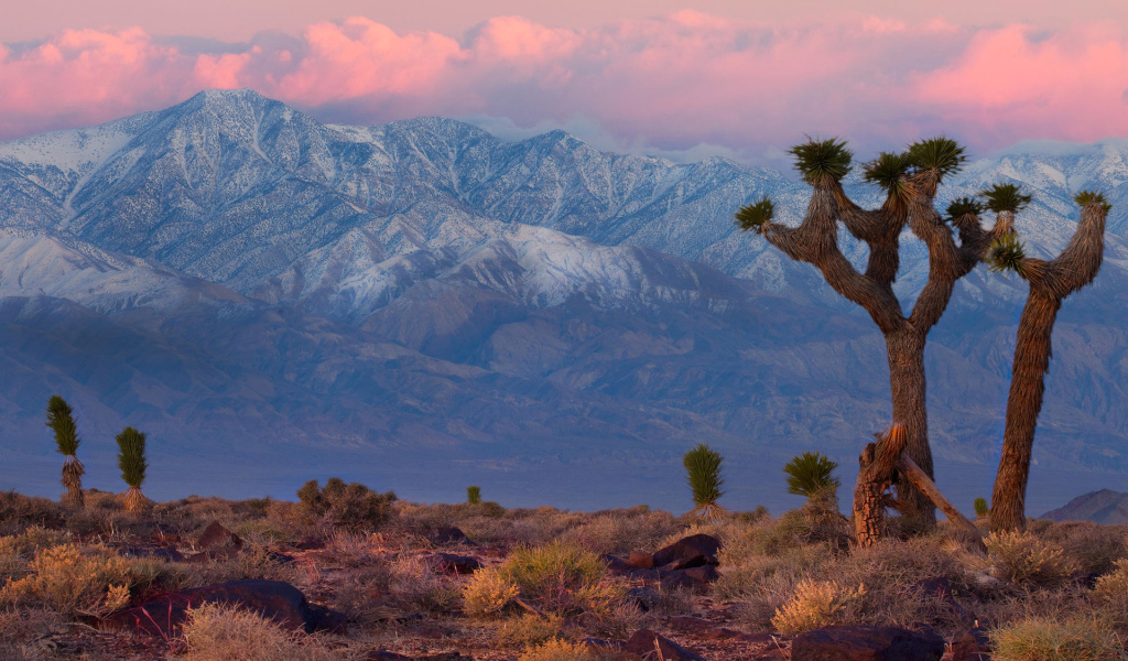 Горная гряда