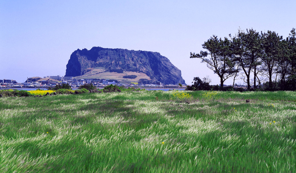 Гора у города