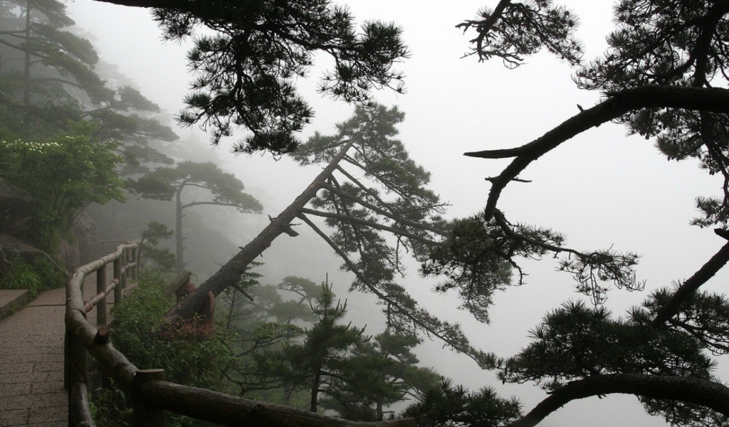 Горная дорожка