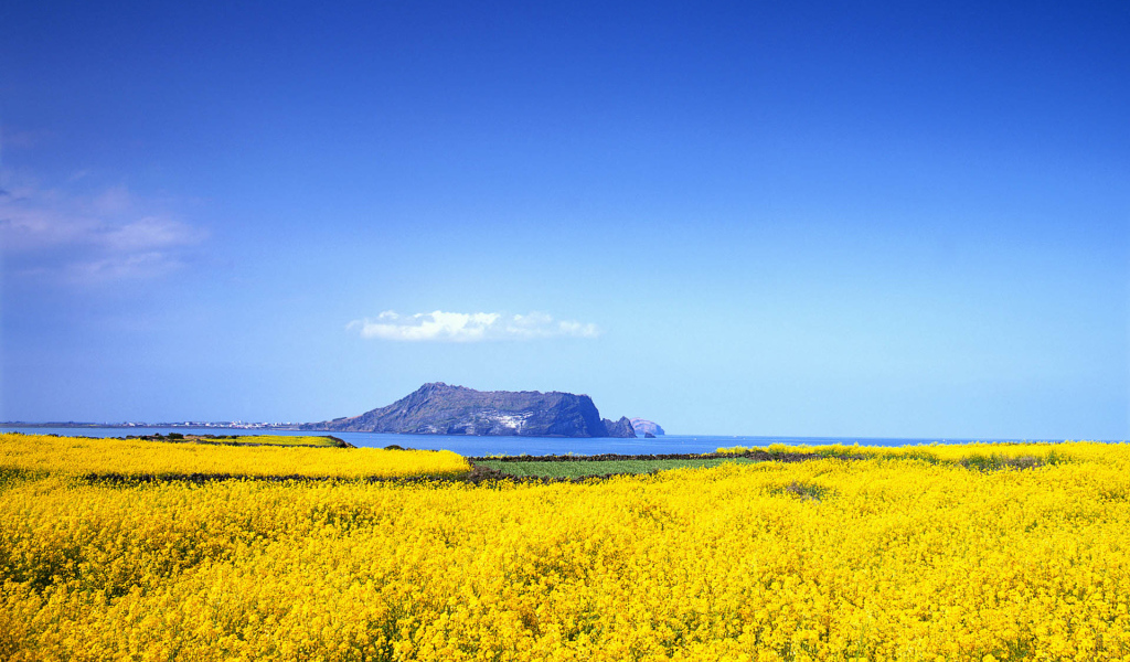 Горы вдалеке