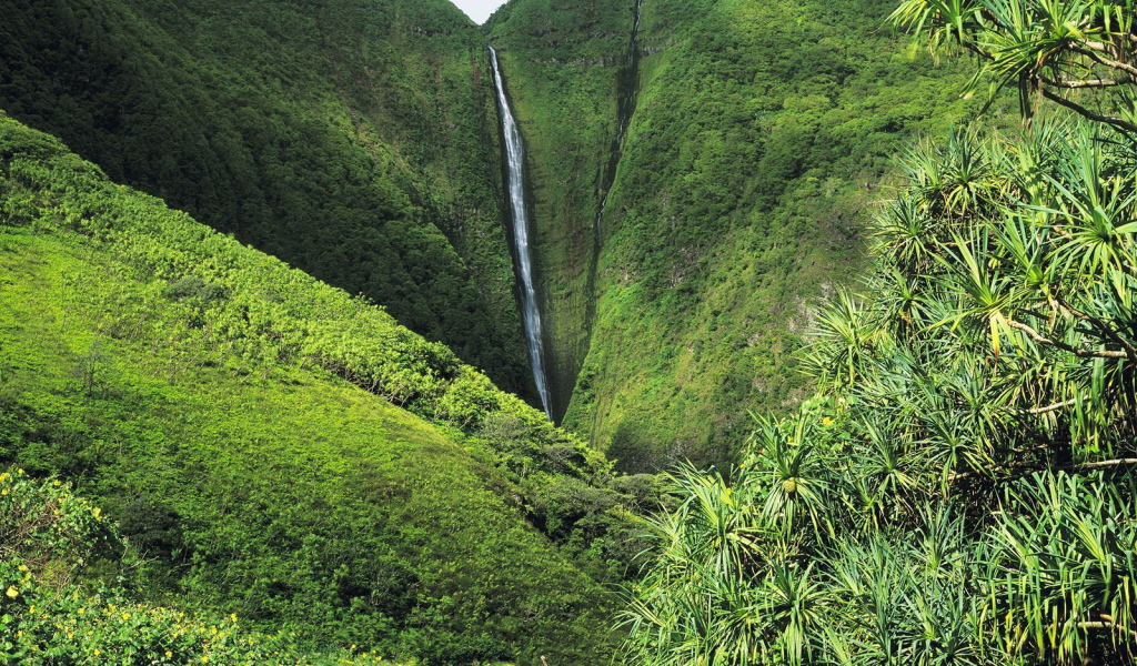 Рай на Земле