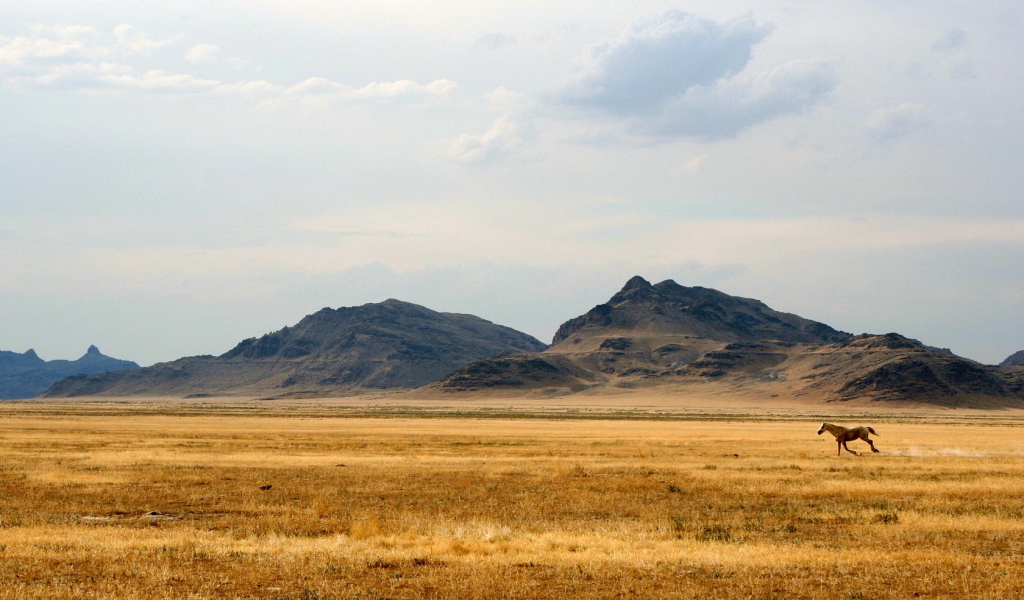 Дикий Запад