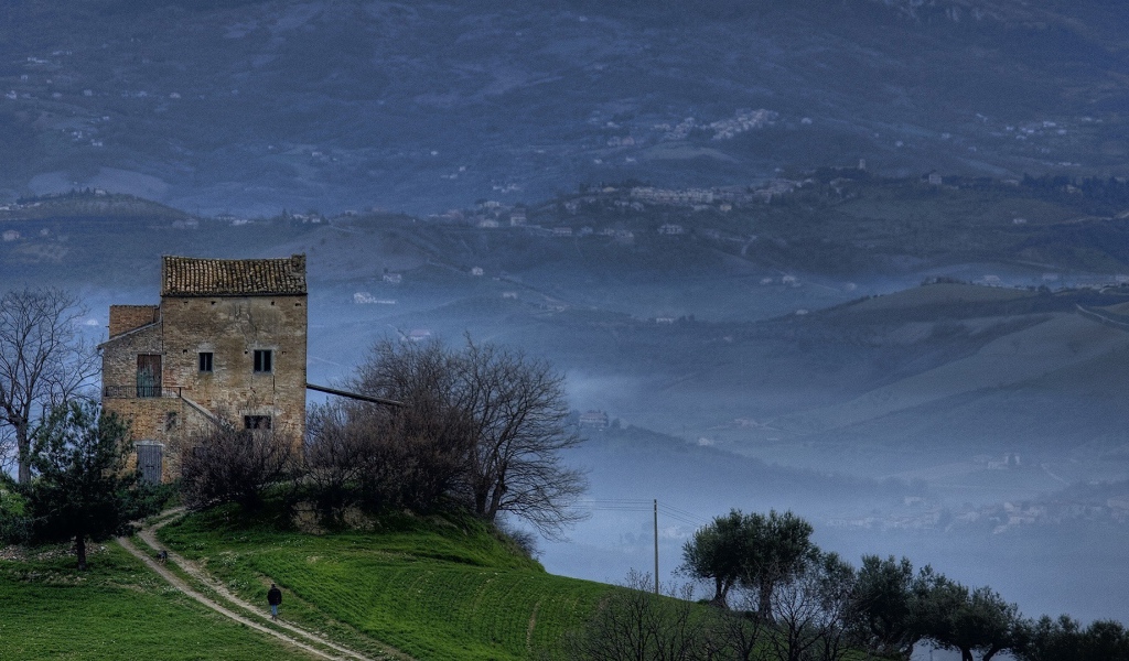 Туманные холмы