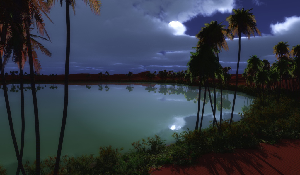 Пустынный оазис