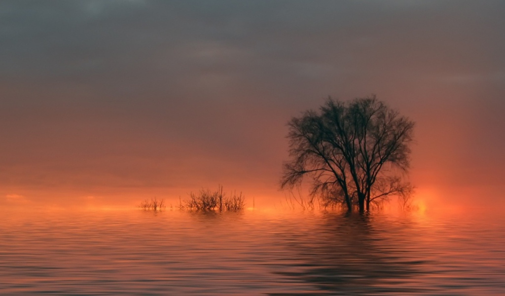 Наводнение