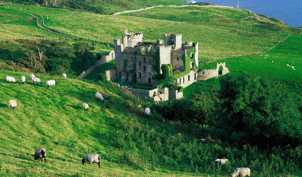 Зеленые холмы