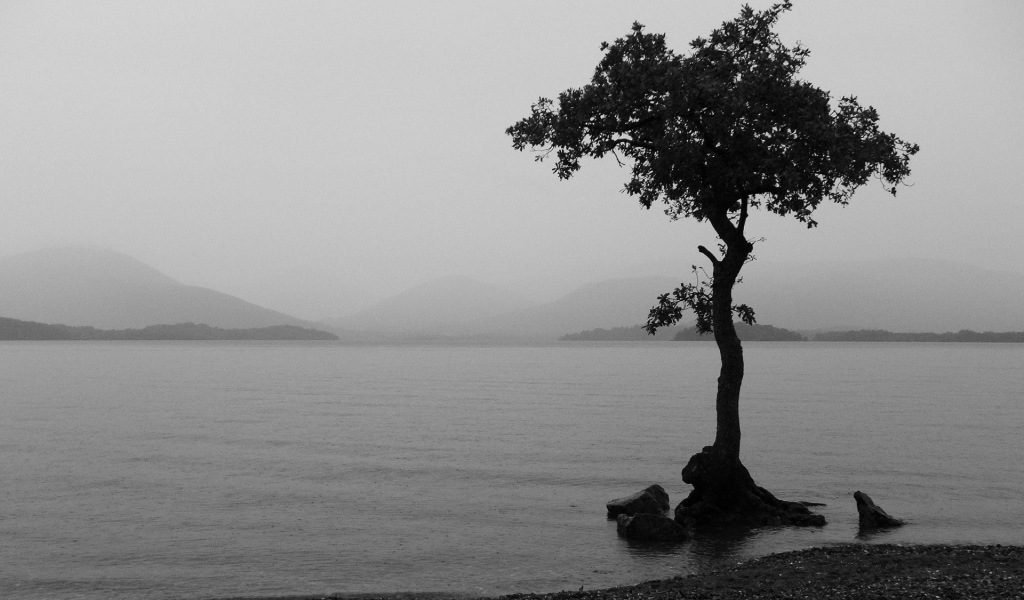 Туманное озеро