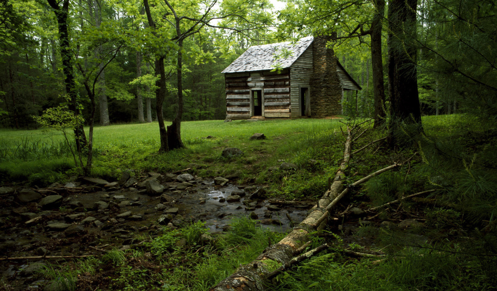 Дом на лесной поляне