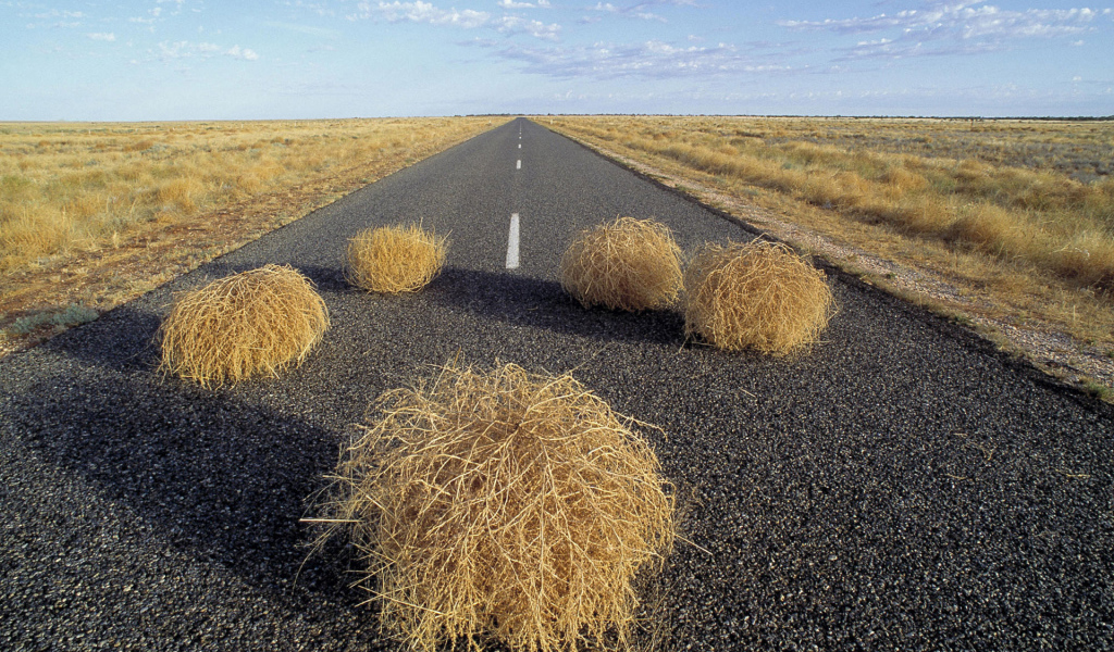 Дорога через пустыню