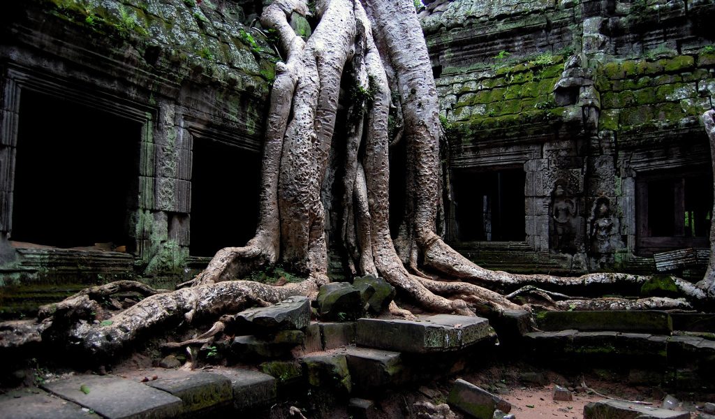 Храм в джунглях