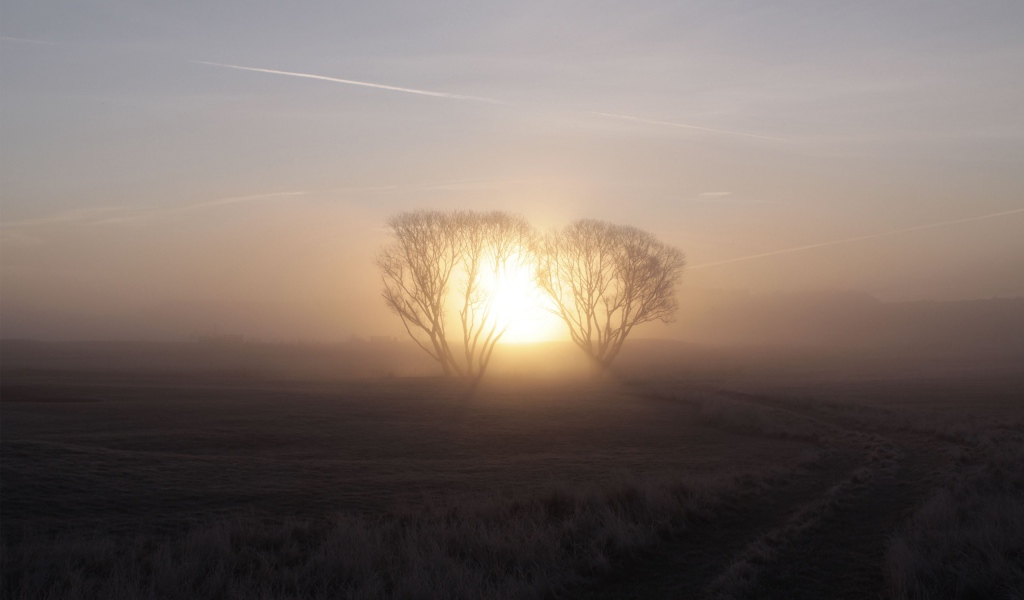 Морозное утро