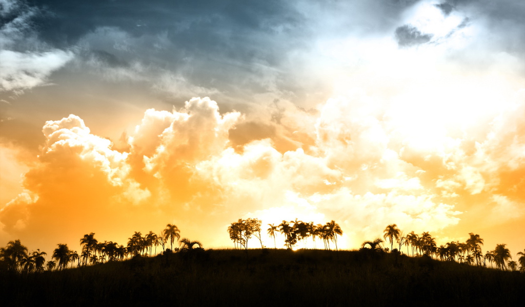 Красивый закат