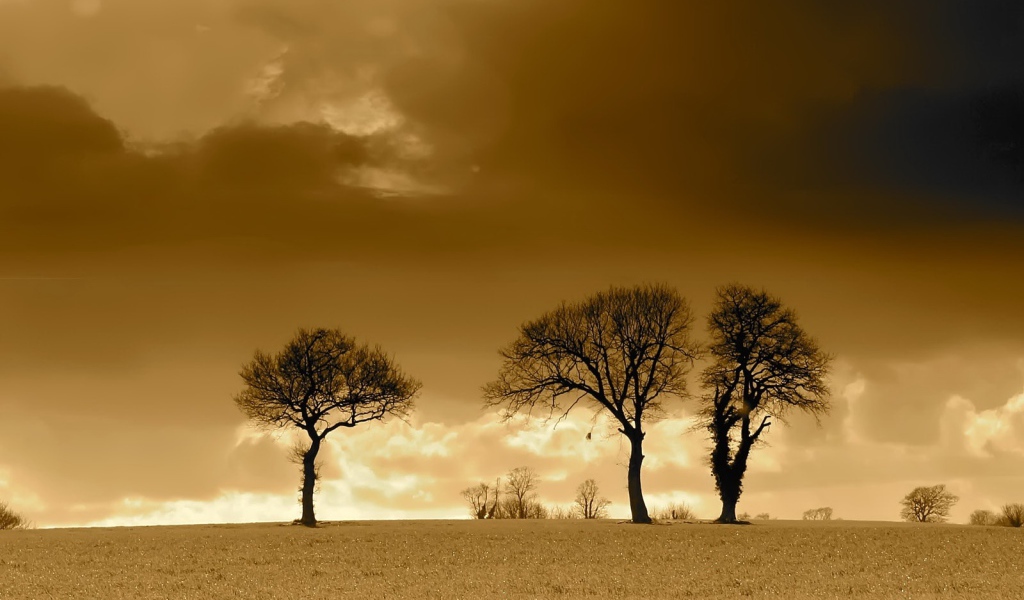 Вечерние облака