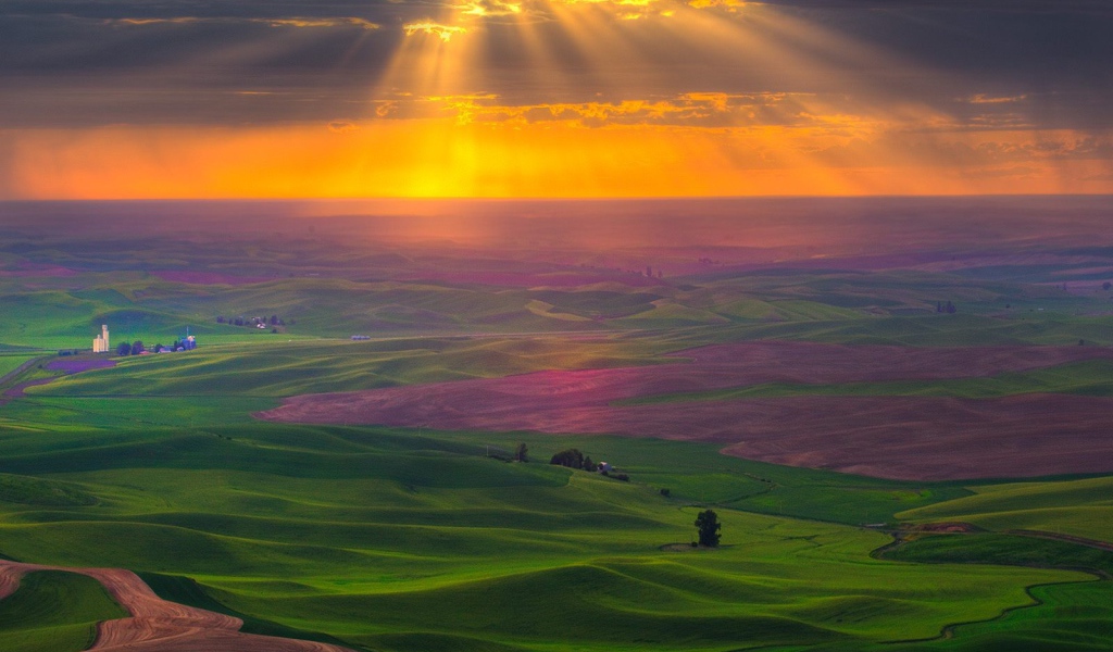 Поля на закате