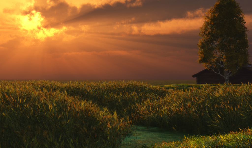 Летний вечер