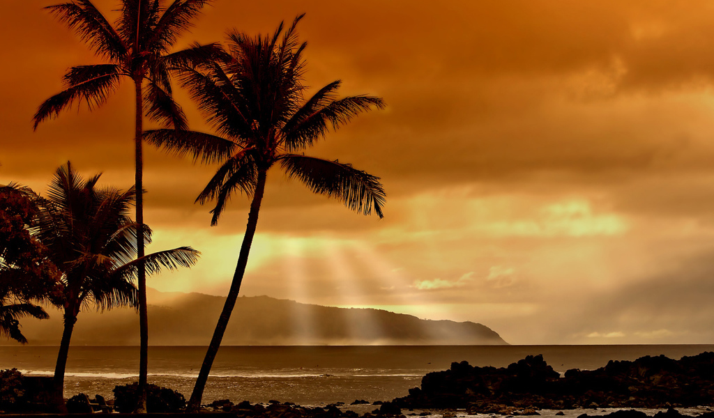 Закат в тропиках