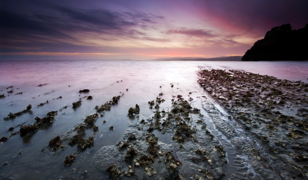 Залив на закате