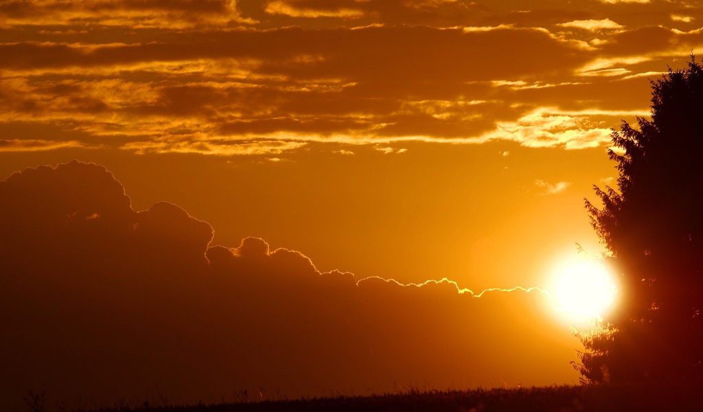 Лучи заходящего солнца