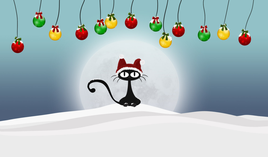 Кот на снегу