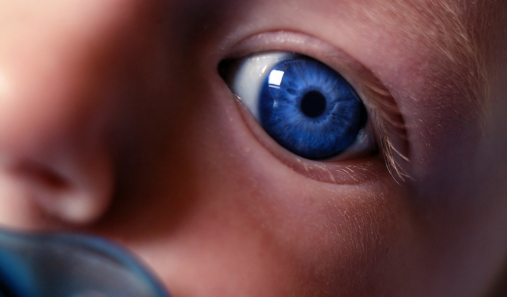 Взгляд на незнакомый мир