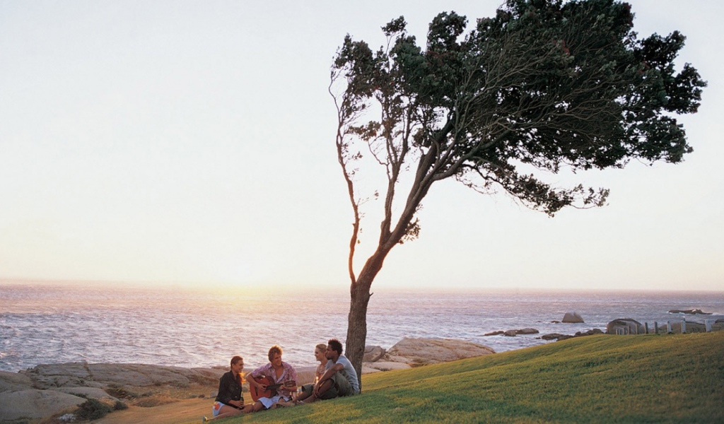 Компания друзей