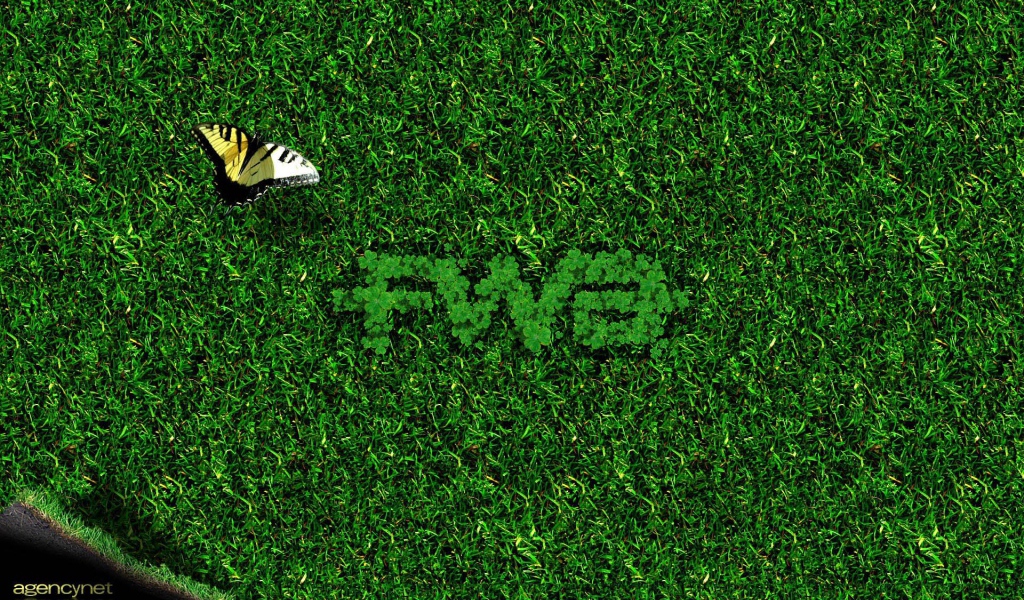 Бабочка на зеленой траве