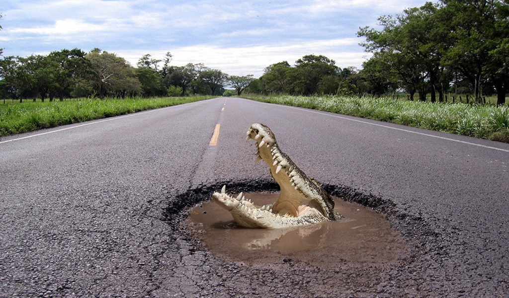 Крокодил на дороге