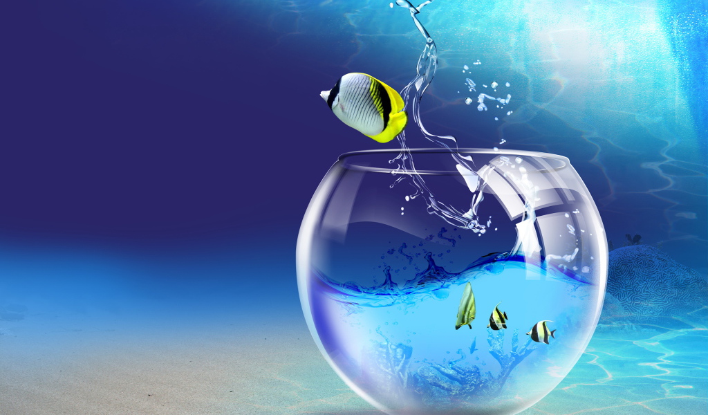 Прощание с аквариумом