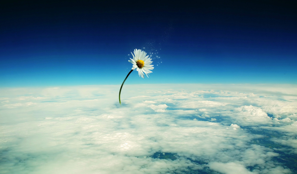 Небесный цветок