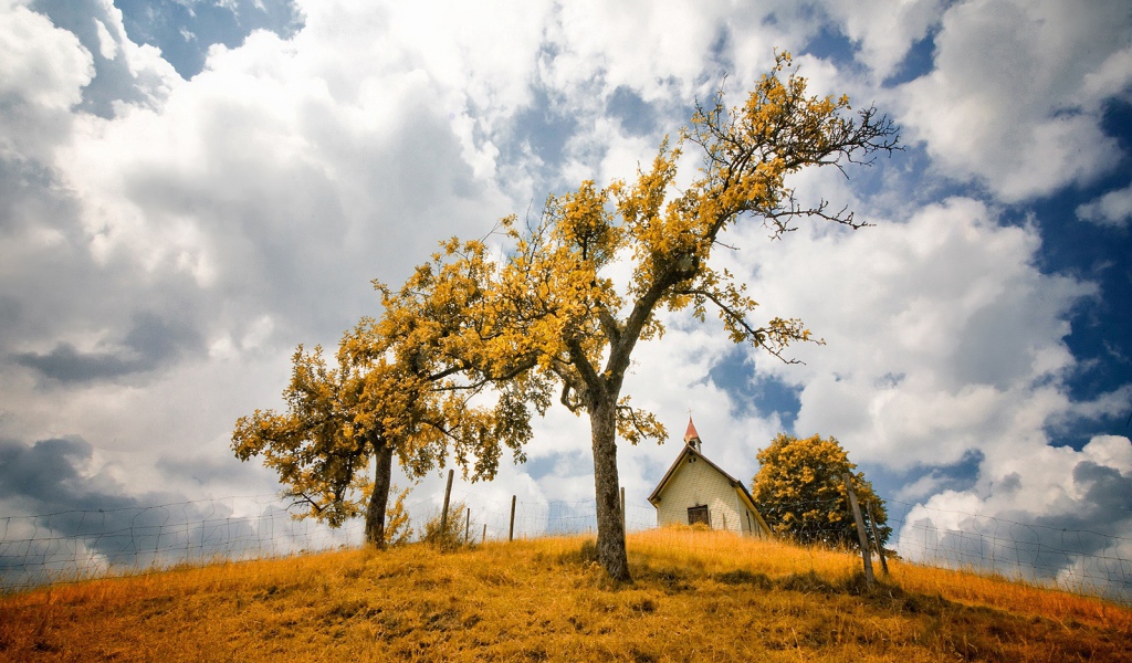 В желтом фокусе