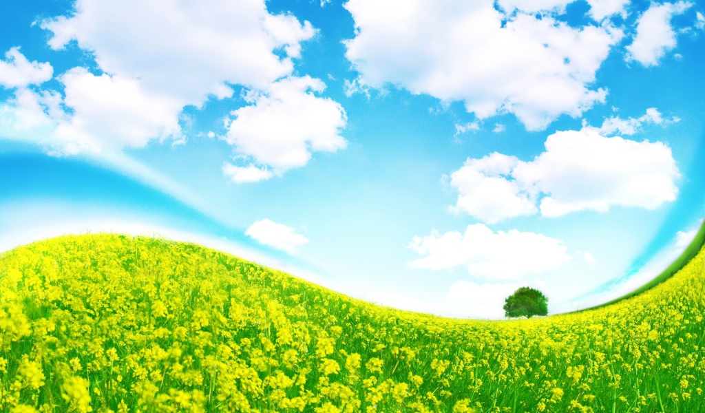 Крутая полянка