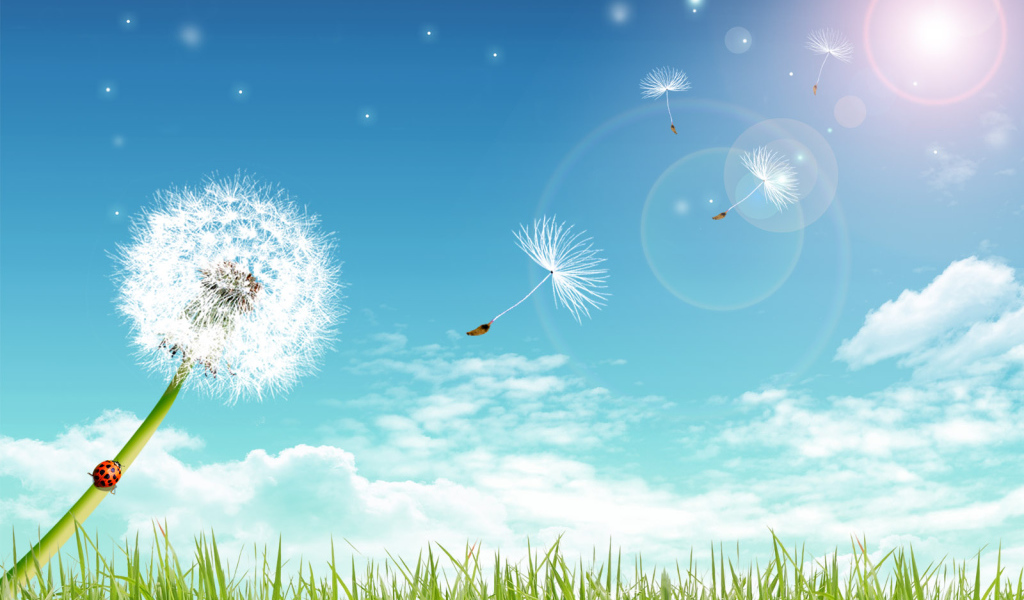 Летний день