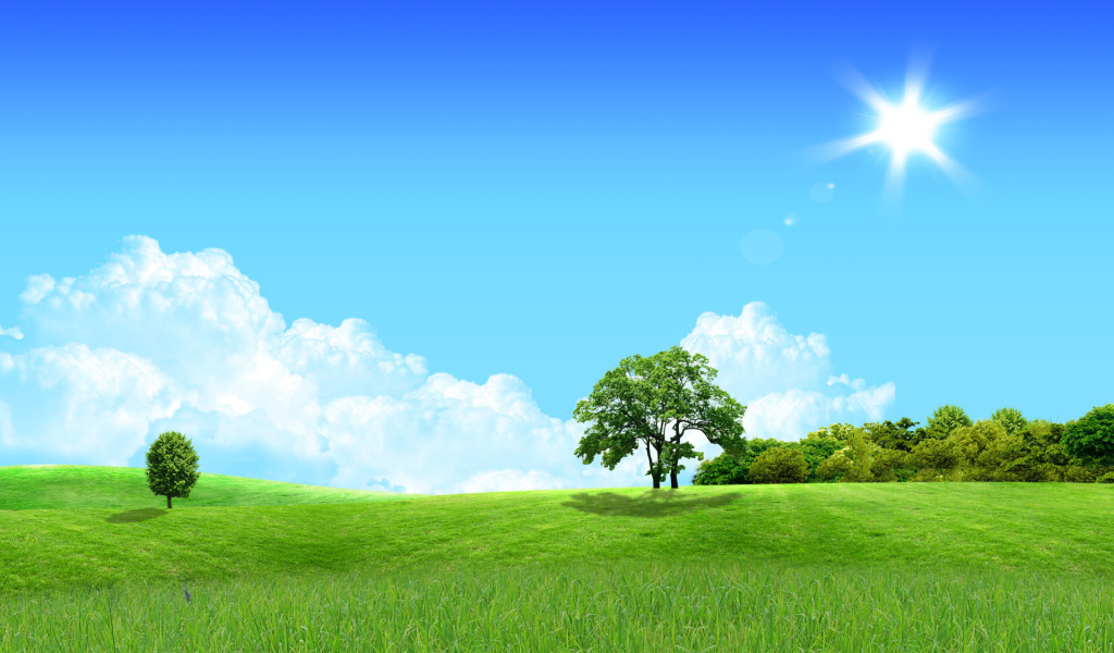 Солнце в зените