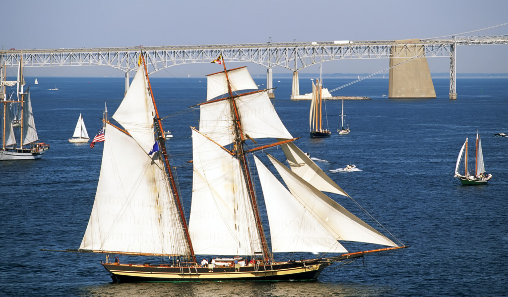 Белые паруса