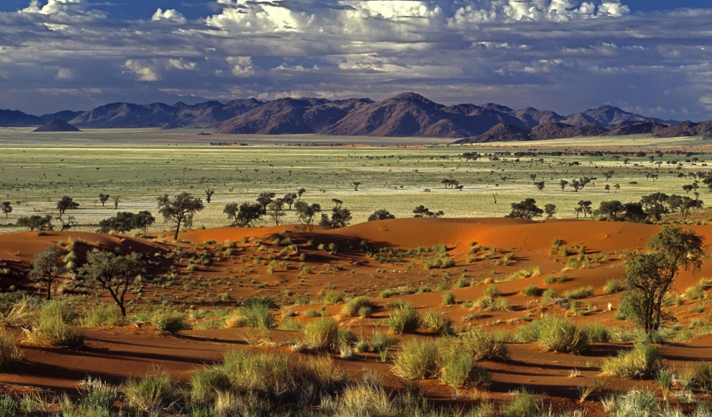 Африканская саванна