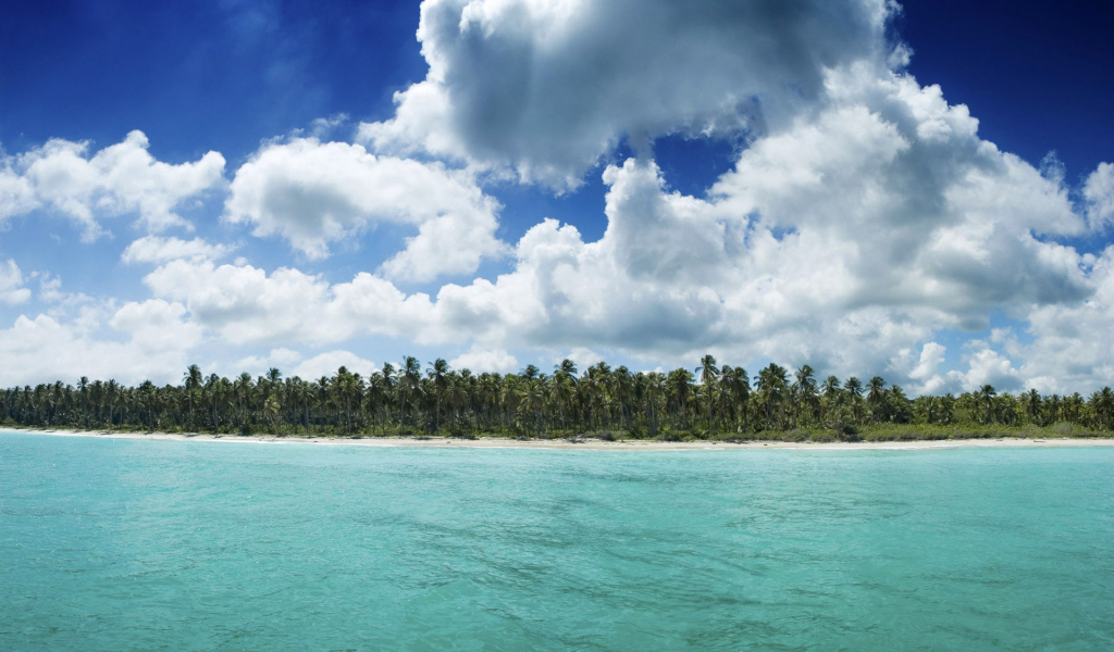 Гавайский берег