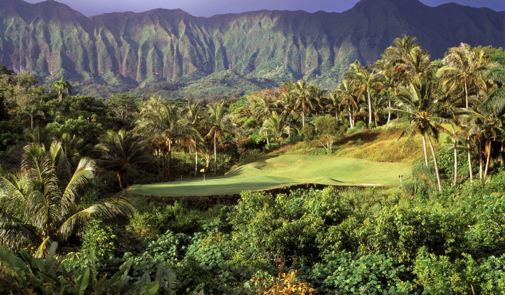 Гавайская растительность