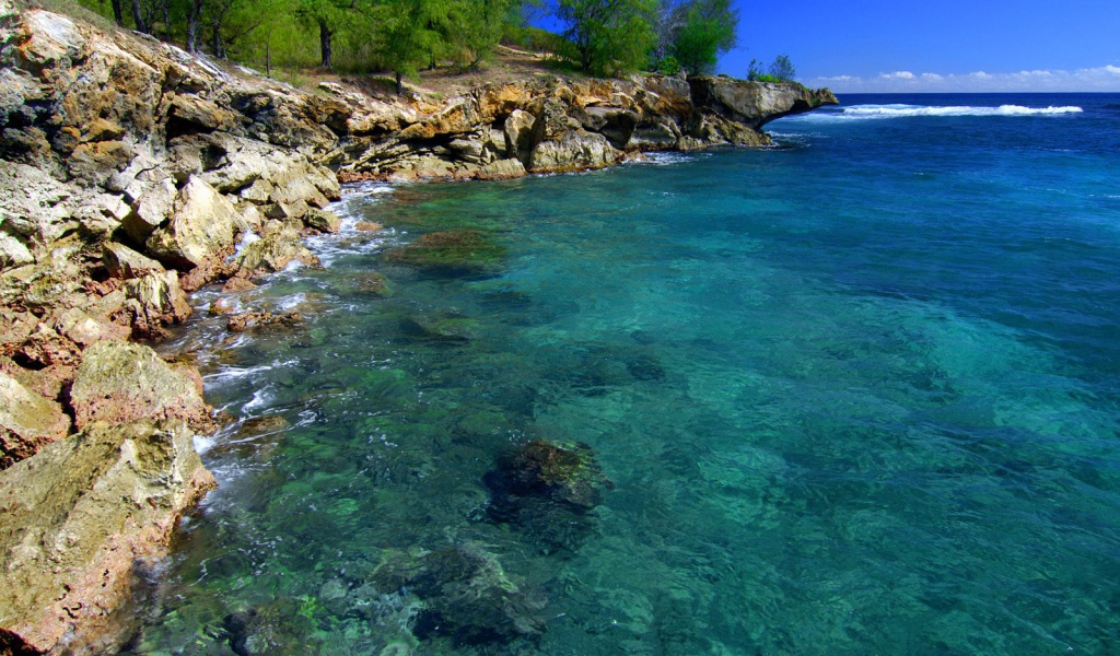 Скалистый берег