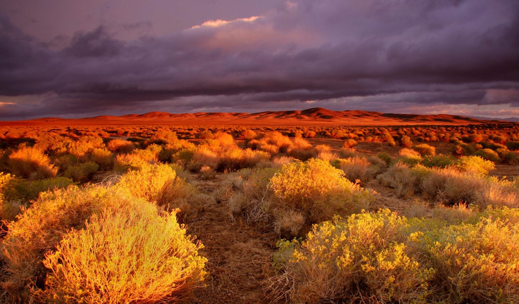 долина Antelope