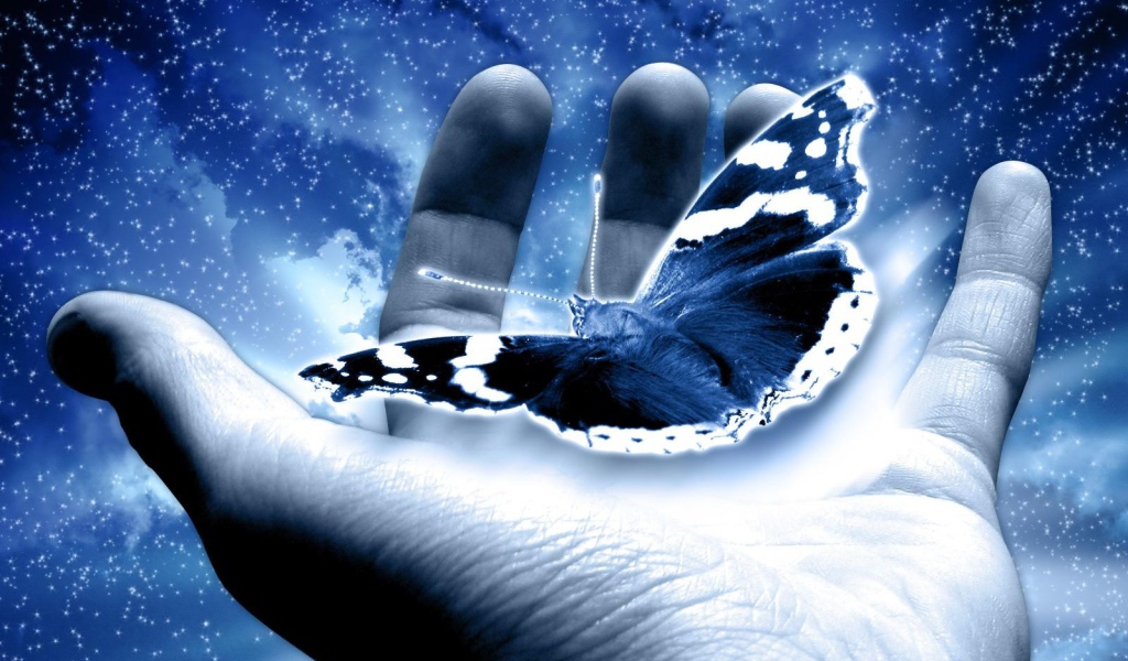 Бабочка в руке
