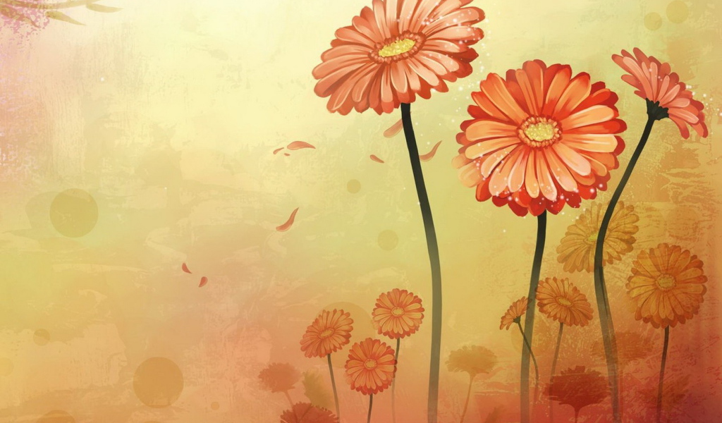 Оранжевые цветы