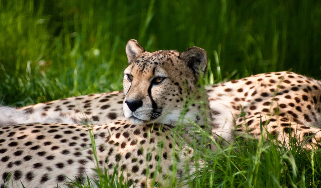 Отдыхающие 