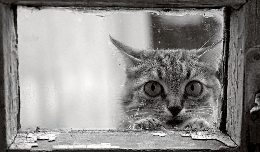 Возле окошка